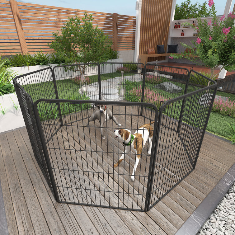 High 2025 dog playpen